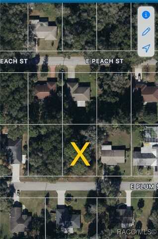 6187 E Plum Street, Inverness, FL 34452