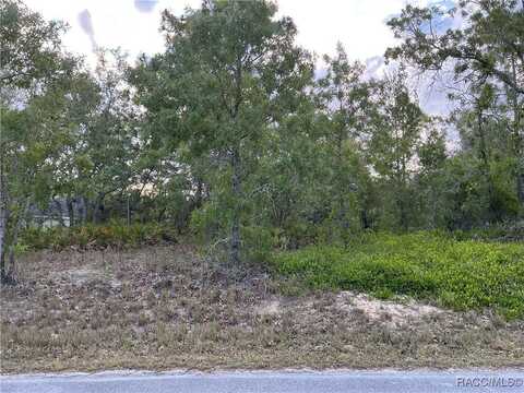 21 Smilax Court N, Homosassa, FL 34446