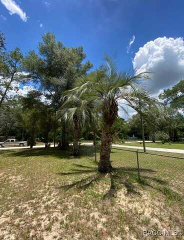 15690 SW 3rd Lane, Ocala, FL 34481