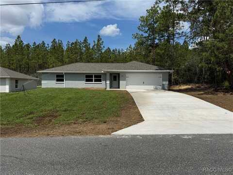 9046 N Paradisea Drive, Citrus Springs, FL 34433