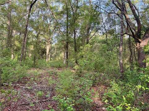 909 Ferncreek Avenue, Inverness, FL 34453