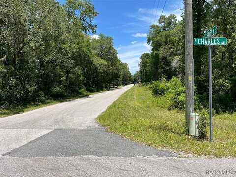 525 N Charles Avenue, Inverness, FL 34453