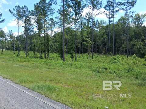 00000 Lottie Road, Atmore, AL 36507