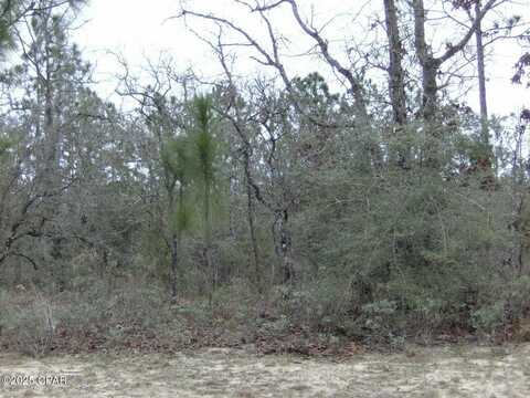 Tbd Panama Court, Chipley, FL 32428
