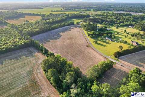 Lot 1 TBD Windham Town Rd, Lamar, SC 29069