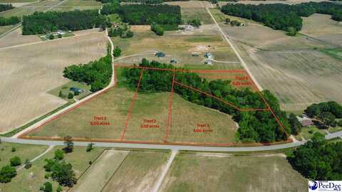 TBD Hoffmeyer Road Lot 1, Darlington, SC 29532
