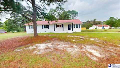 2600 Robinson View Dr, HARTSVILLE, SC 29550