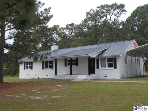 2600 Robinson View Dr, HARTSVILLE, SC 29550