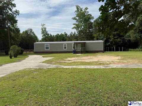 2931 Calhoun Road, Clio, SC 29525