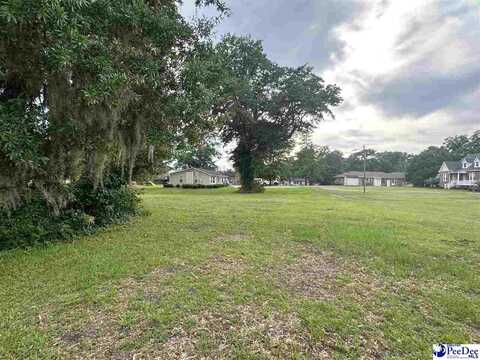 Lots 3 & 4 Atkinson St, Turbeville, SC 29162