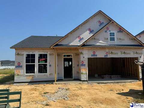 1159 Summer Duck Loop (Lot 54), Florence, SC 29501