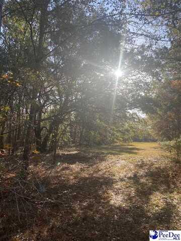 Henderson Rd, Varnville, SC 29944