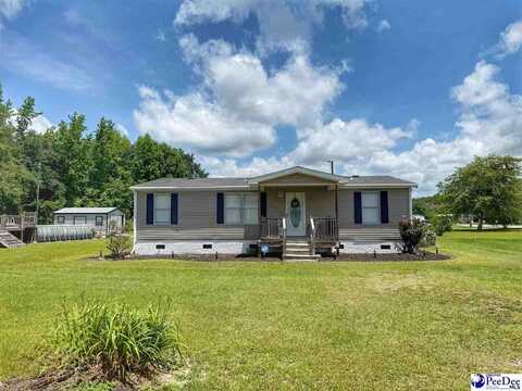 2252 Jake Drive, Dillon, SC 29536