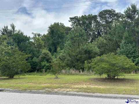 Lot B Atkinson St, Turbeville, SC 29162