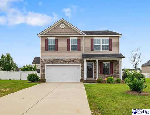 1224 Barn Owl Road, Effingham, SC 29541