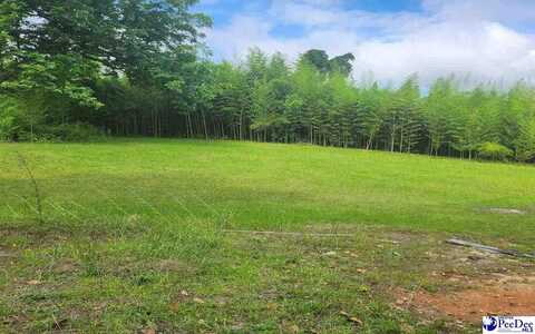 123 Livingston, Bennettsville, SC 29512