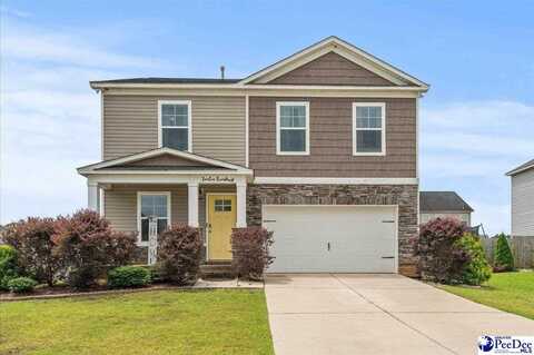 1200 Turtle Dove Drive, Effingham, SC 29541