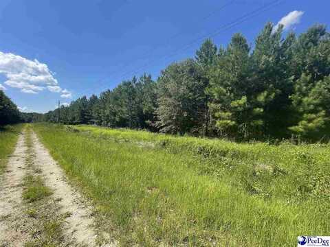 000 Millpond Lane, Mc Coll, SC 29570