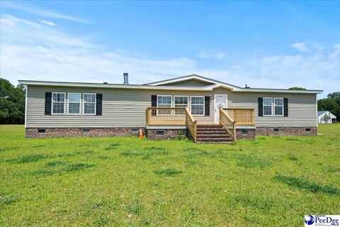 6660 Stagecoach Road, Effingham, SC 29541