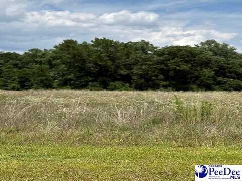 Lot 22 Govrnor's Run, Lamar, SC 29069