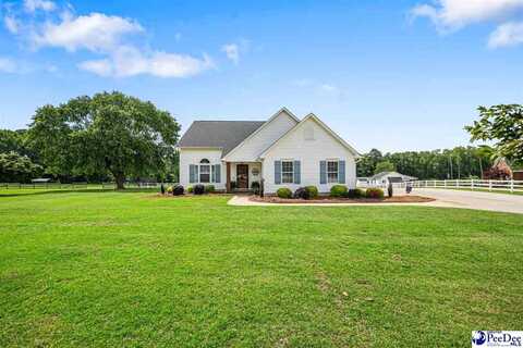 868 Moonshadow Ln, Darlington, SC 29540