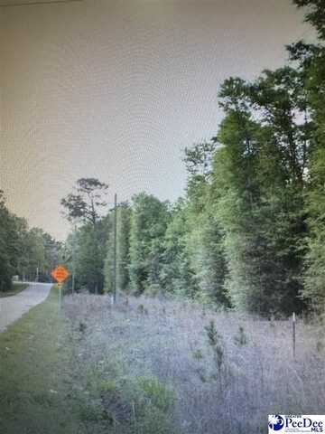 Lot 2 Reds Landing, Andrew, SC 29510