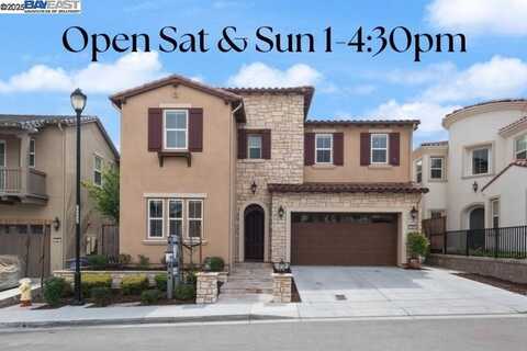 7259 Lembert Hills Dr, Dublin, CA 94568