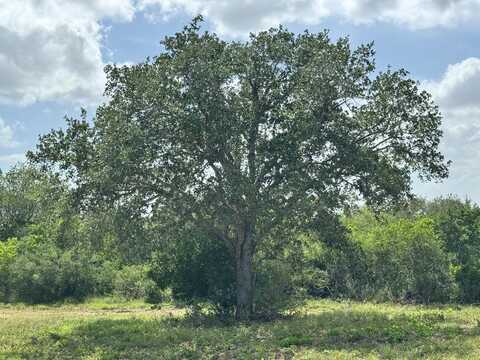 undefined, Normanna, TX 78142