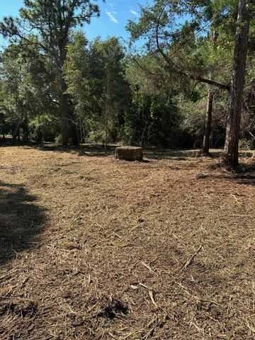 2601 Oak St, Carrabelle, FL 32323