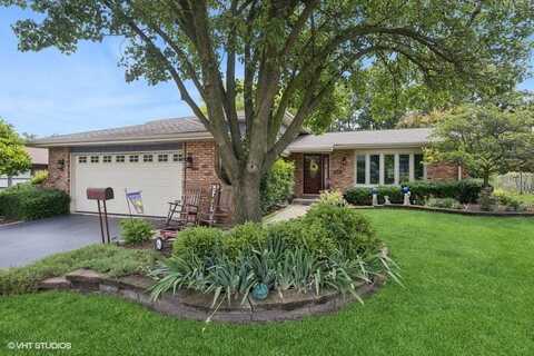 1127 Alpine Lane, Lemont, IL 60439