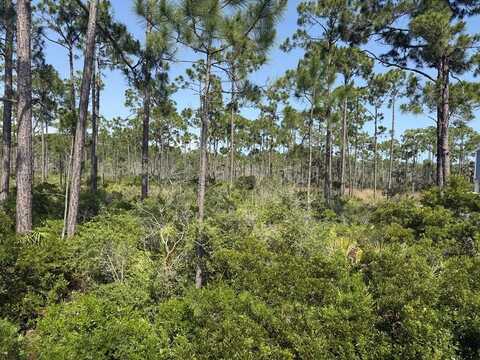 Lot 6 SR 30-A, Cape San Blas, FL 32456