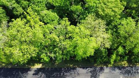 Lot 7 Byrd Parker Dr, Wewahitchka, FL 32465