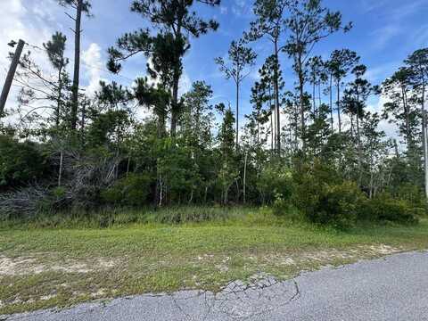 Lot 16 Live Oak Dr, Wewahitchka, FL 32465