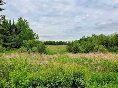 RANGELINE Road, DEERBROOK, WI 54424