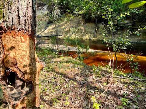 Tbd Old Cty I Road, Black River Falls, WI 54615