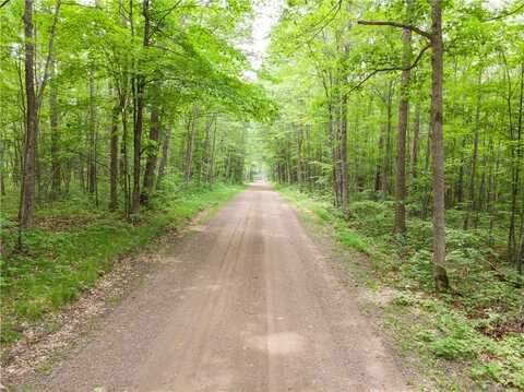 Lots 1-8,41-48 Indian Drive, Hayward, WI 54843
