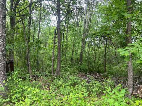 7968 County Road F, Danbury, WI 54830