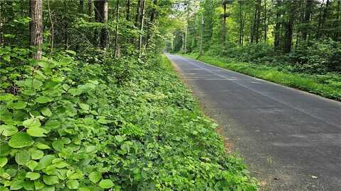 Woodland Avenue lot: 13-20, 23-28, Hayward, WI 54843