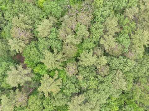 Lots 13-20,23-28 Woodland Avenue, Hayward, WI 54843
