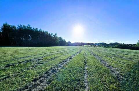 110 Acres County Road O, Bruce, WI 54819
