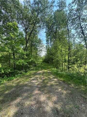 31.54 Acres Timber Wolf Drive, Hayward, WI 54843
