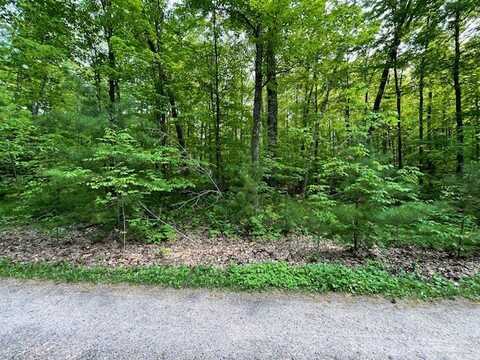 Lot 1 Plover Lane, Hayward, WI 54843