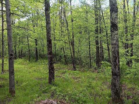 N10095 Woodland Lane, Phillips, WI 54555