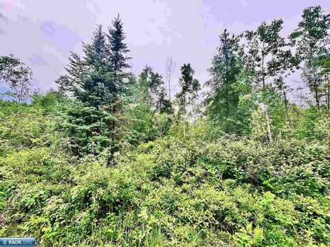 TBD Shuster Rd, Orr, MN 55771