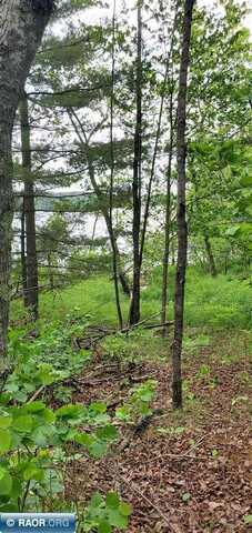 TBD Palm Drive, Gilbert, MN 55741