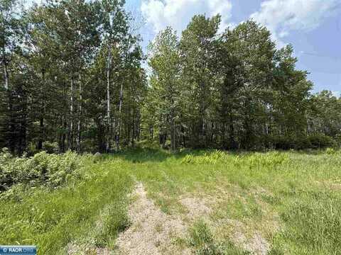 TBD Samuelson Road - Sec 15, Angora, MN 55703