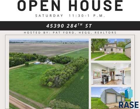 45390 284th St, Hurley, SD 57036