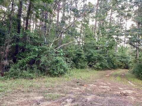 County Road 2020, Newton, TX 75966