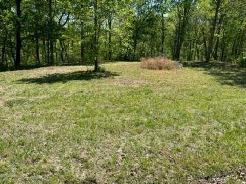 Lot 2 Halls Chapel Road, Bowling Green, KY 42101