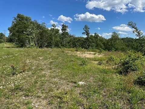 Moss-Arcot Road, Celina, TN 38575